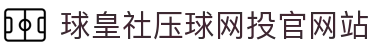 球皇统计站_足球球队数据统计与球员表现查询_比赛结果速查